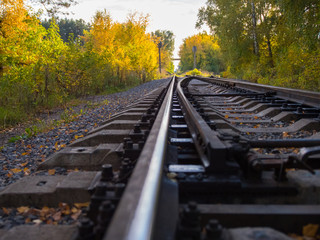 Railway tracks, direction of movement. Autumn park