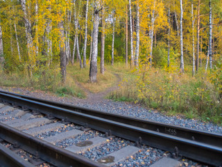 Railway tracks, direction of movement. Autumn park