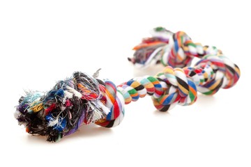 Dog Toy Rope on a Background