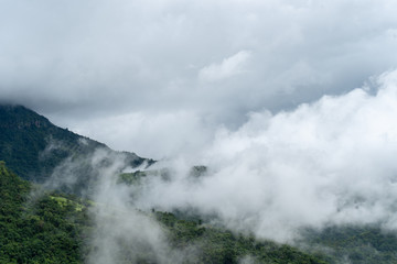 Fototapeta na wymiar Fog in the valley