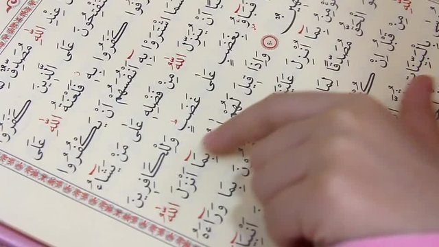 Reading Quran