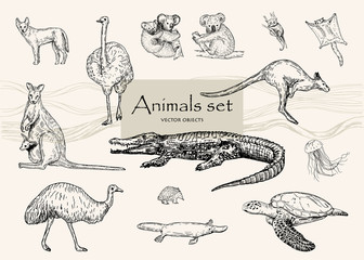 Vector hand drawn monochrome animals set. Pen style vector objects. © Milana