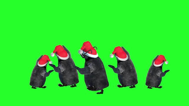 cartoon penguins dancing dressed in Christmas hats on green background