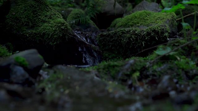 Small creek waterfall