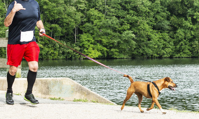 Runner racing 10K with a dog around lake