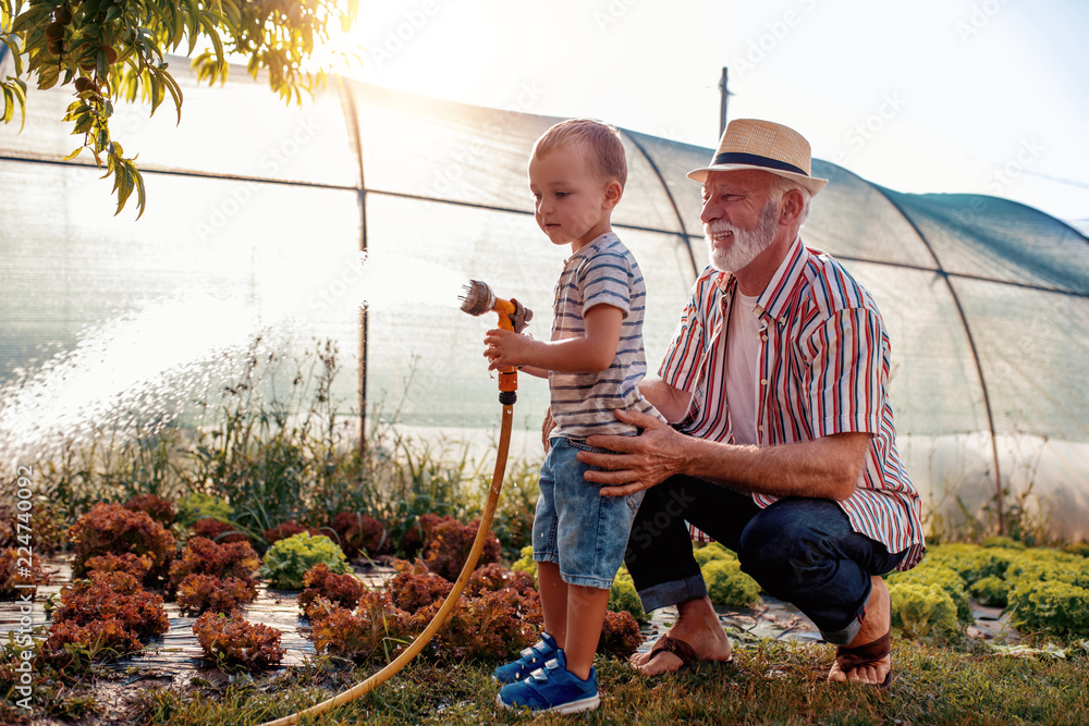 Wall mural grandfather with his grandson working in the garden