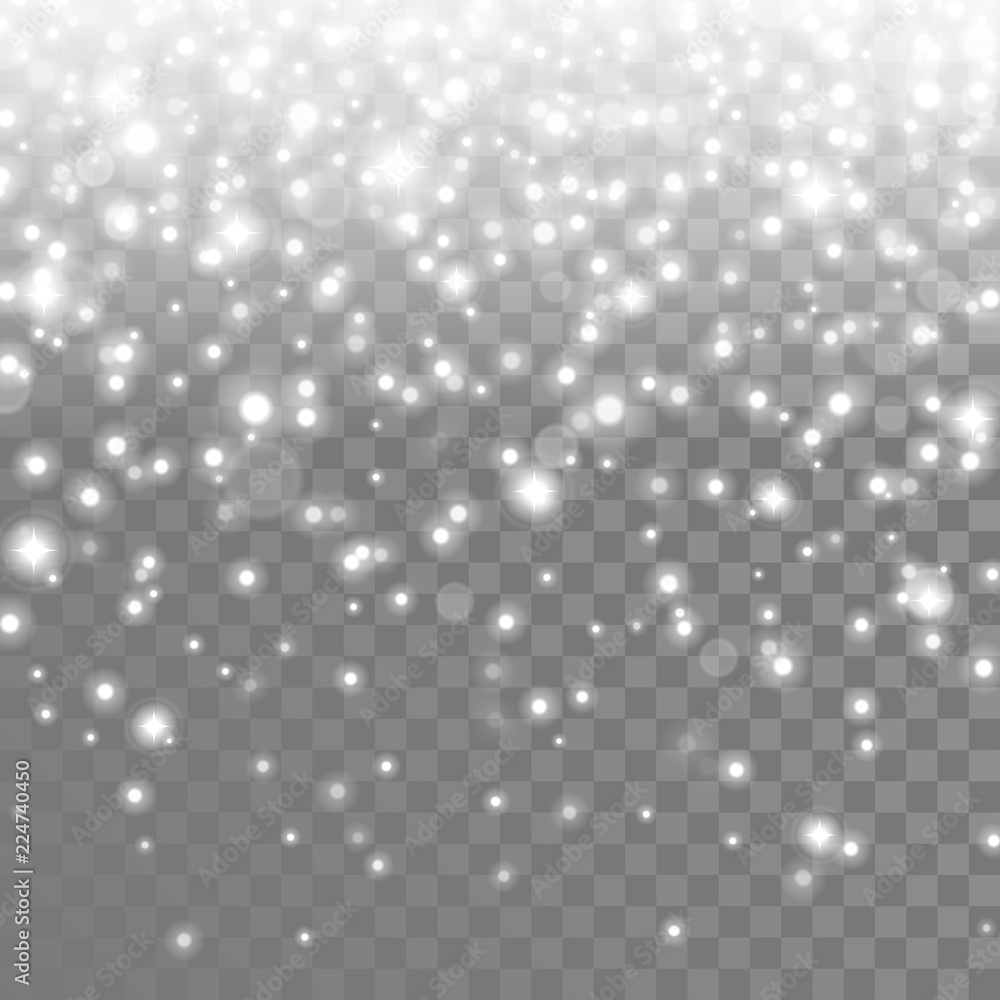 Poster Vector falling snow. Isolated snowflakes on the transparent background