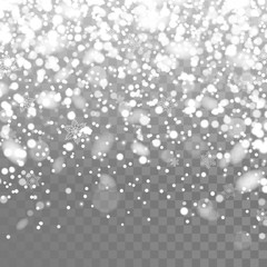 Vector falling snow. Isolated snowflakes on the transparent background