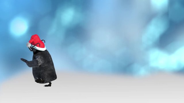 cartoon penguins dancing dressed in Christmas hats
