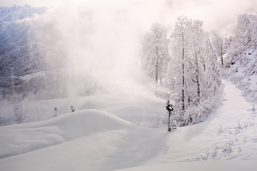 Fototapeta premium On the slopes of the mountain resort of Sochi, Rosa Khutor.