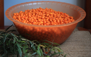 a lot of fresh yellow sea-buckthorn.