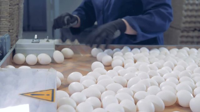 Farm worker puts eggs into package, side view.