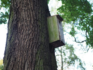 Birdhouse, wooden bird feeder on the tree