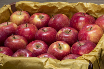 A box of apples