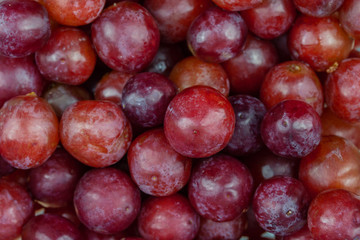 Ripe red grape as background