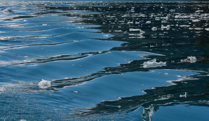 Bits of glacier ice floating on reflecting water