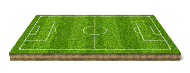 3d rendering of a grass sport field with white lines marking the game positions.