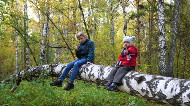 Children in the autumn Park walk in the fresh air. Two children sitting on a fallen tree. A beautiful scenic place