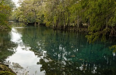 crystal clear spring water manatee springs state park chiefland florida