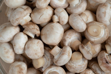 closeup of raw washed mushrooms - champignons, ready for later cooking. vegetarian menu.