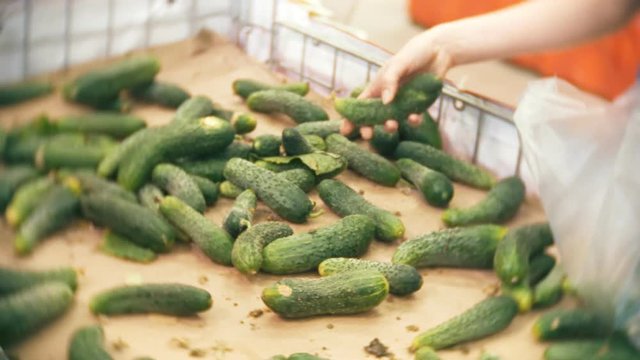A woman in a supermarket buying vegetables