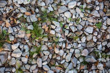 Country gravel road texture with grass, wood needles, cones, fallen leaves