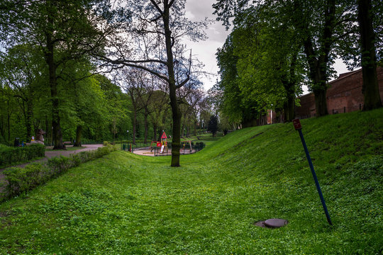 Park w zielonej szacie, położony w mieście Chełmno, Polska