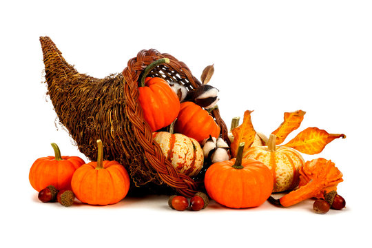 Thanksgiving cornucopia filled with pumpkins isolated on a white background