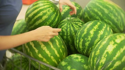 woman in a supermarket selects the watermelon at a fruit and vegetables section. 4k