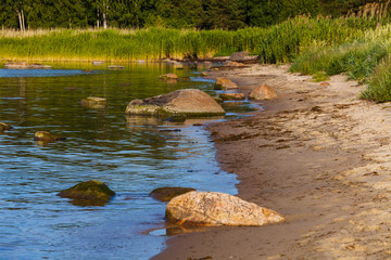 Boulders at the coast of Baltic sea. Classic Estonian coastline views at sunny summer day.