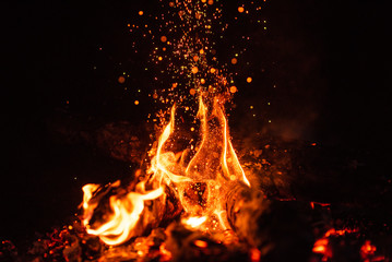 Fiery fire isolated on black isolated background . Beautiful yellow, orange and red fire flame...