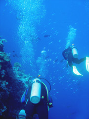 The photo of two scuba divers. They are swimming among corals and bubbles.  The deep is ahead. 
