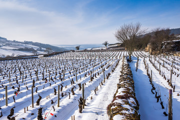 muret bourguignon enneigé