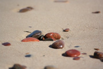 Views of the coast of Palanga