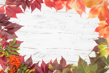 leaf, leaves, autumn, season, background, Apple, pumpkin, Rowan, berry, pepper, food, vegetarian, red, yellow, green, Board, white, beautiful, postcard, Board