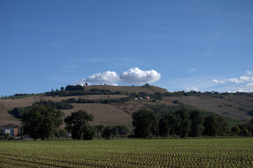 landscape with hills and cloud, agriculture,countryside,blue sky,horizon,panorama,field,rural,view