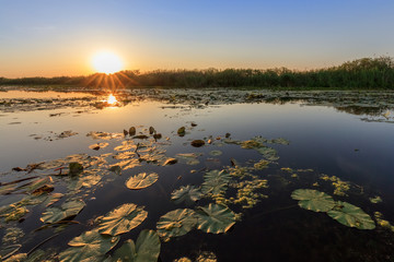 Danube Delta, Romania