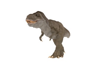 Trex isolated