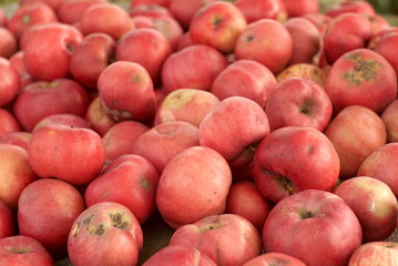 homemade red apples on the table