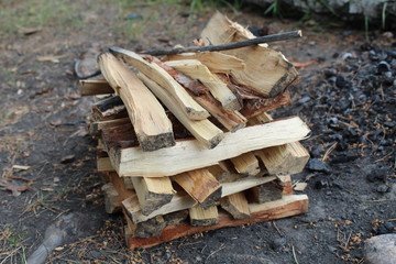 pile of firewood in the forest