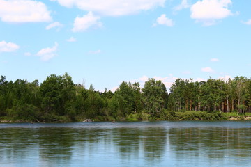 lake in forest