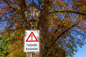 Achtung fallende Kastanien - Kastanienbaum mit Warnschild