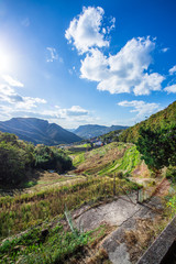 中山千枚田