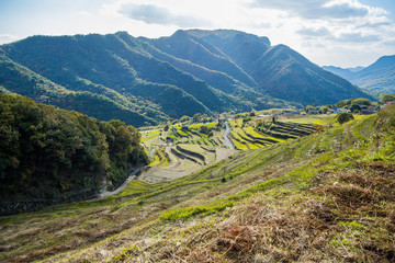 中山千枚田