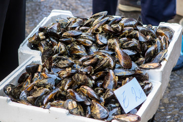 Mussels on the market