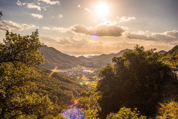 中山千枚田