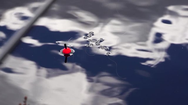 A fishing float bobber floating in the water surface while fish is taking the bait.
