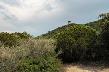 Naklejka premium Tour génoise de Capanella, Porto-Pollo, Corse du Sud, France