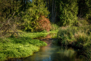 Herbst an einem naturbelassenen Fluss