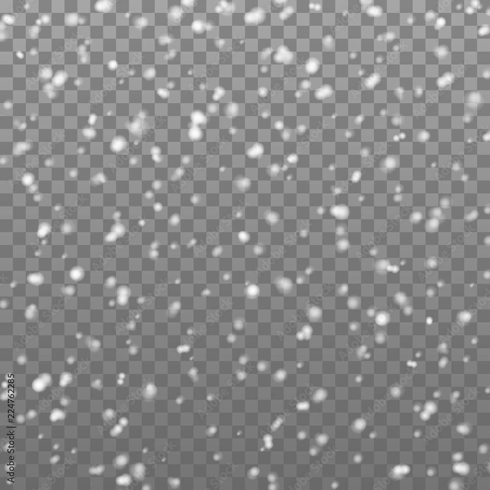 Poster Vector falling snow. Isolated snowflakes on the transparent background